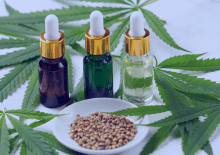 North Dakota Active Medical Marijuana Patients in 2025.png